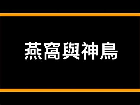 撿到燕子代表什麼|【撿到燕子代表什麼】有燕子飛來你家？揭秘「撿到燕子」背後的。